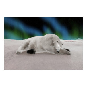 Poster Repose de l'ours polaire