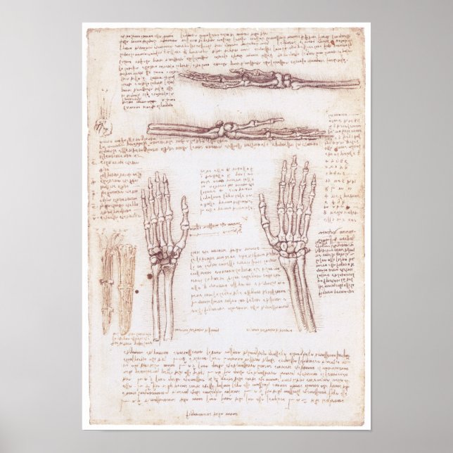 Poster Représentation de la Main, Léonard de Vinci (Devant)