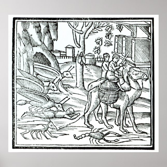 Poster Représentation de la peste, 1572 (Devant)