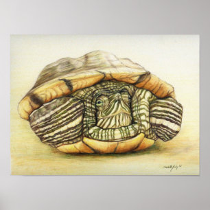 Poster Reproduction artistique "Tortue" Imprimer l'affich