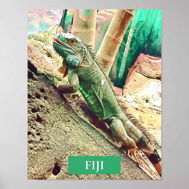 Poster Reptile de lézard fidjien (Devant)