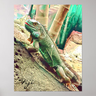 Poster Reptile de lézard fidjien