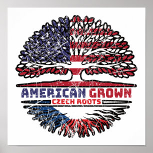 Poster République tchèque Tchèque États-Unis États-Unis