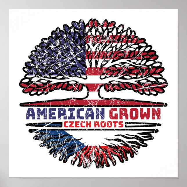 Poster République tchèque Tchèque États-Unis États-Unis (Devant)