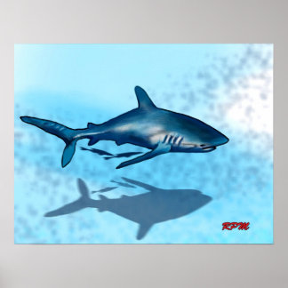 Poster Requin