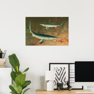 Poster Requin Bleu Vintage Mangeant un Poisson, Vie Marin
