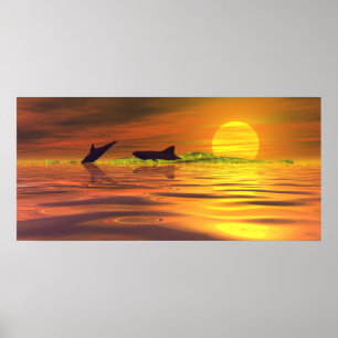 Poster Requin dauphin le jeu de la vie