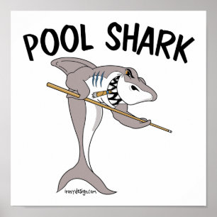 Poster Requin de piscine