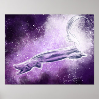 Poster Requin frisé