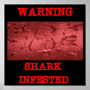POSTER REQUIN INFESTÉ