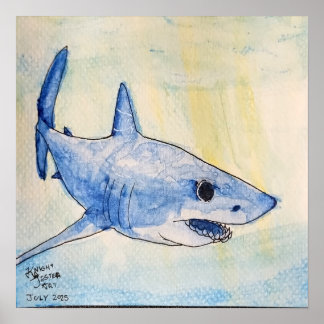 Poster Requin Mako