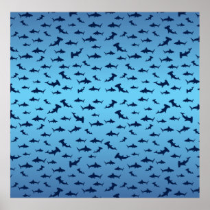 Poster requin marteau