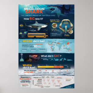 Poster Requin Megalodon - Predator! 24 x 36 pouces