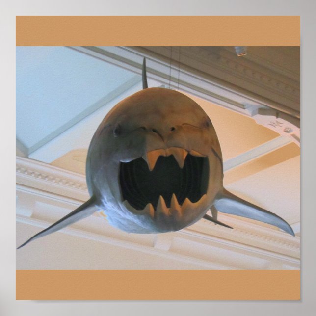 Poster Requin préhistorique (Devant)