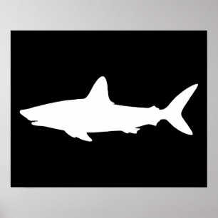 Poster Requin qui Nage
