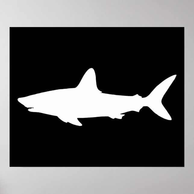 Poster Requin qui Nage (Devant)