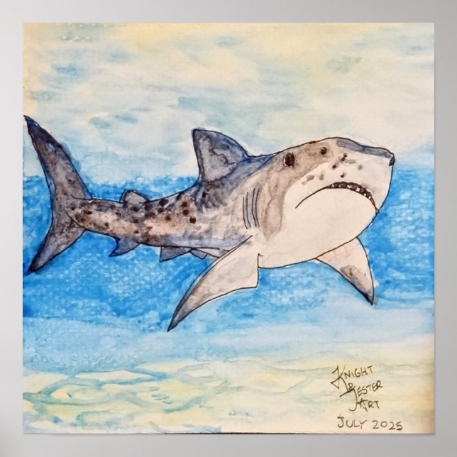 Poster Requin Tigre (Devant)