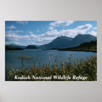Réserve faunique nationale de Kodiak