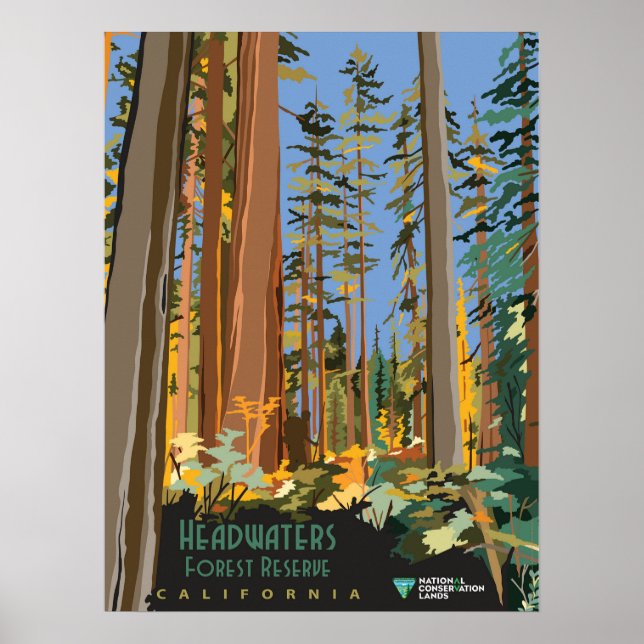 Poster Réserve forestière (Devant)
