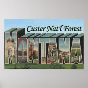 Poster Réserve forestière de Custer, Montana
