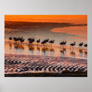 Poster Réserve nationale de faune andine Eduardo Abaroa