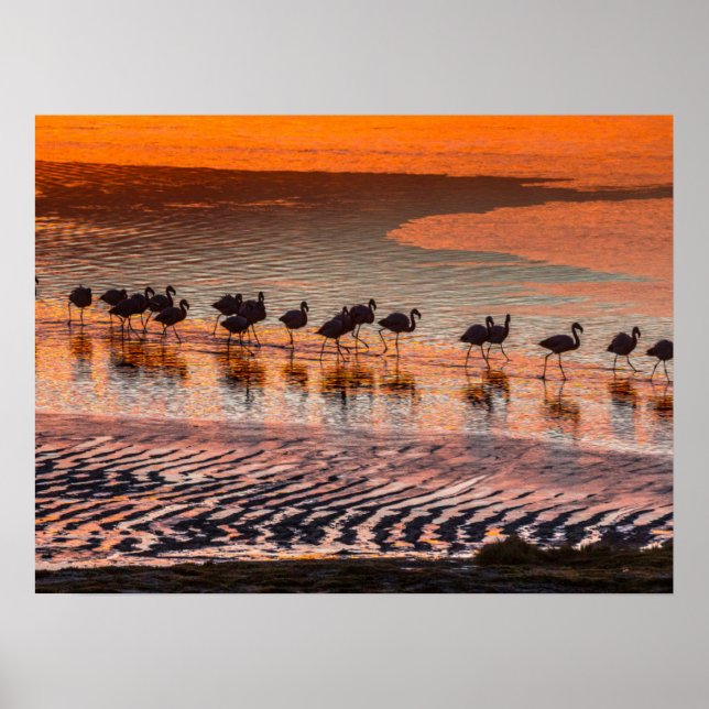 Poster Réserve nationale de faune andine Eduardo Abaroa (Devant)
