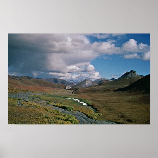 Poster Réserve nationale de faune de l'Arctique (Devant)