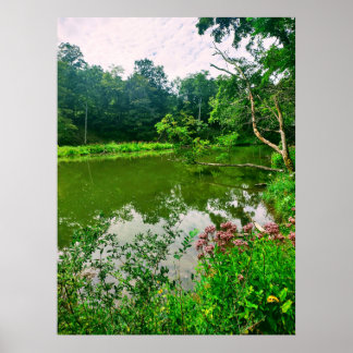 POSTER RÉSERVE NATURELLE D'ITHACA NEW YORK