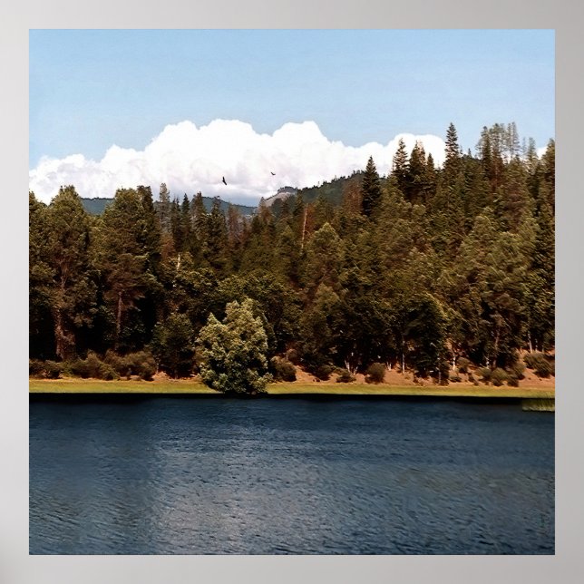 Poster Réservoir à voilure.... (Devant)