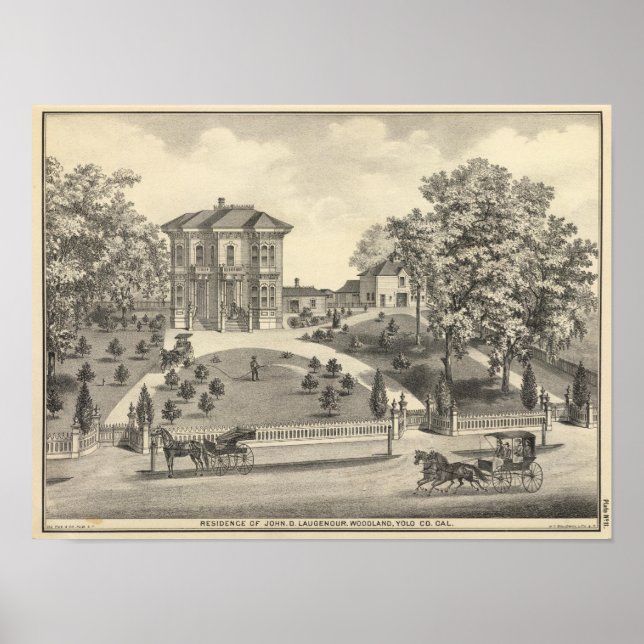 Poster Résidence Laugenour, Woodland (Devant)