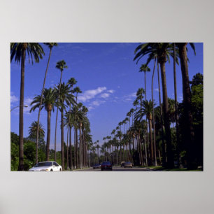 Poster Résidentiel Rodeo Drive, Beverly Hills, Californie