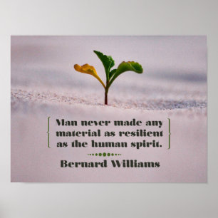 Poster Résilient comme l'Esprit Humain
