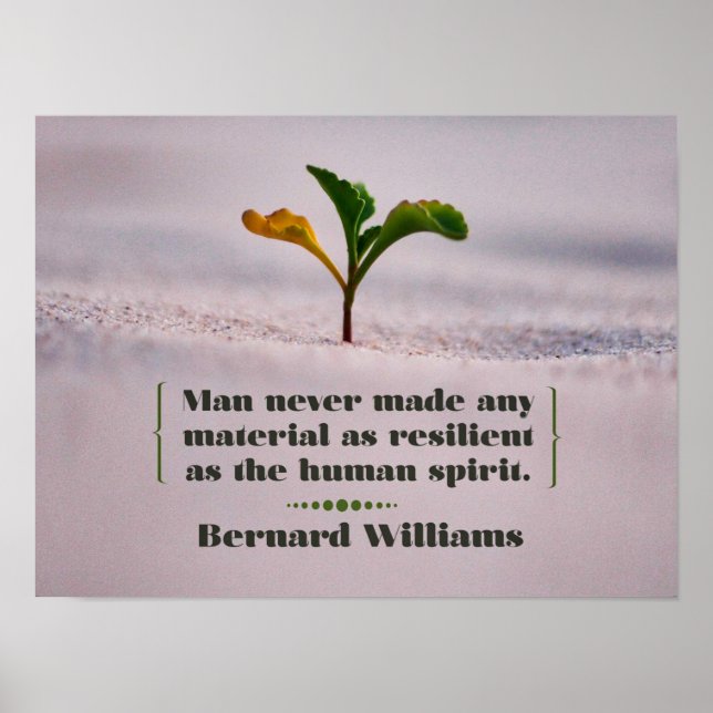 Poster Résilient comme l'Esprit Humain (Devant)