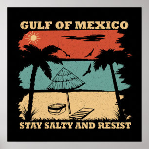 Poster Résistance salée du golfe du Mexique