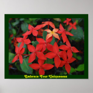 Poster Respectez votre caractère unique