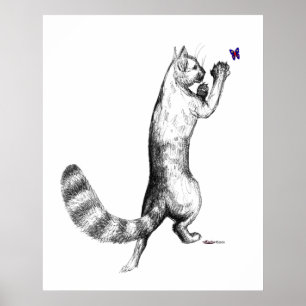 Poster Ressort de chat