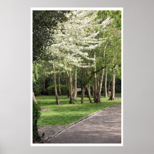 Poster Ressort Irlande