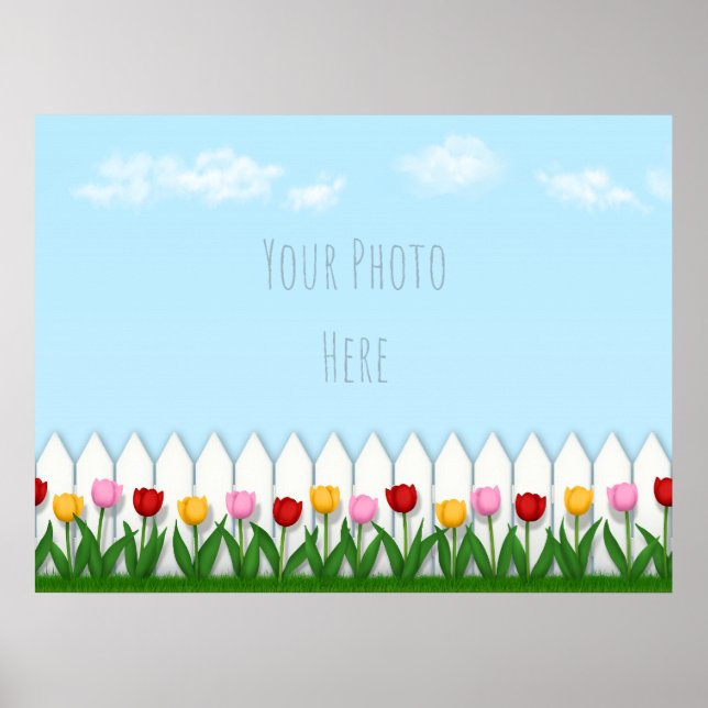 Poster Ressort Tulips blanc Picket clôture Photo personna (Devant)