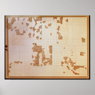 Poster Reste d'un cadastre