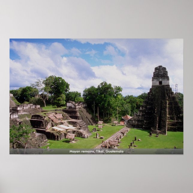 Poster restes mayas, Tikal, Guatemala (Devant)