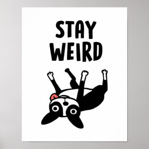 Poster Restez bizarre Boston Terrier Funny Chien