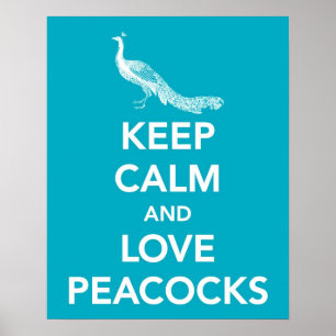 Poster Restez calme et aimer Peacocs
