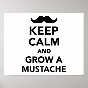 Poster Restez calme et faites pousser une moustache