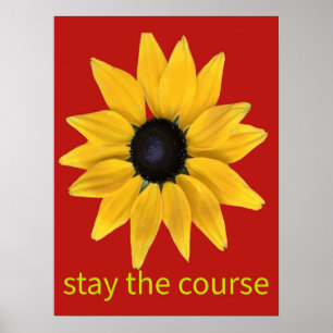 Poster Restez sur le terrain. Tournesol photographié amél