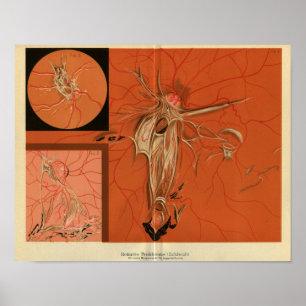 Poster Rétine interne de vue de la copie vintage d'oeil