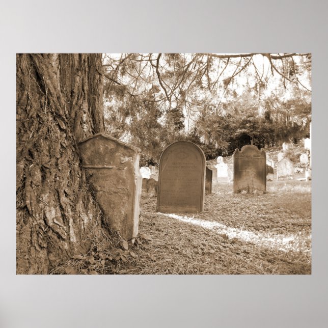 Poster Retour à la nature - Gravestones et arbres (Devant)