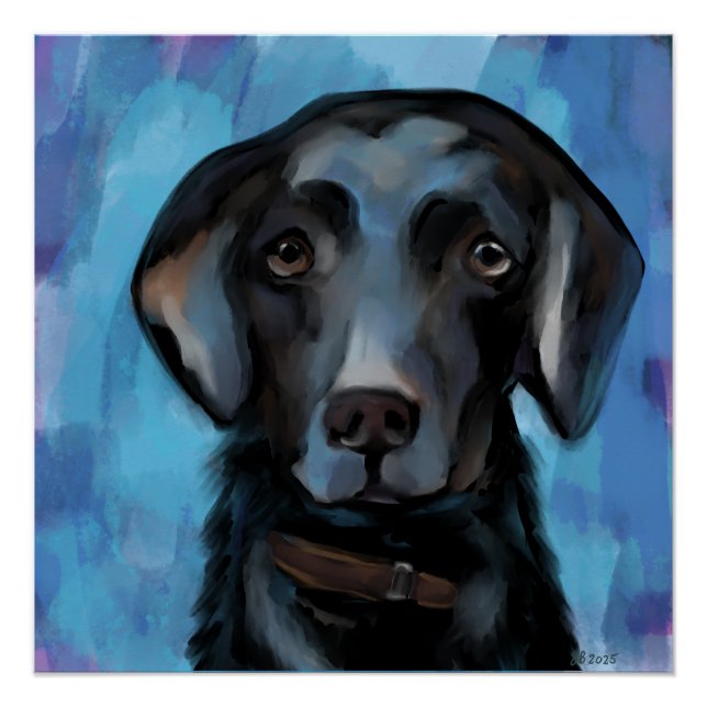Poster Retriever du Labrador  (Devant)