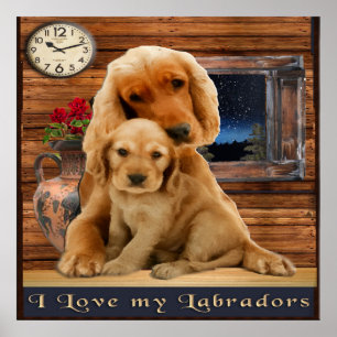 Poster Retriever du Labrador