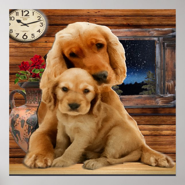 Poster Retriever du Labrador (Devant)