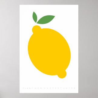 Poster rétro citron jaune 60's 70's Citation